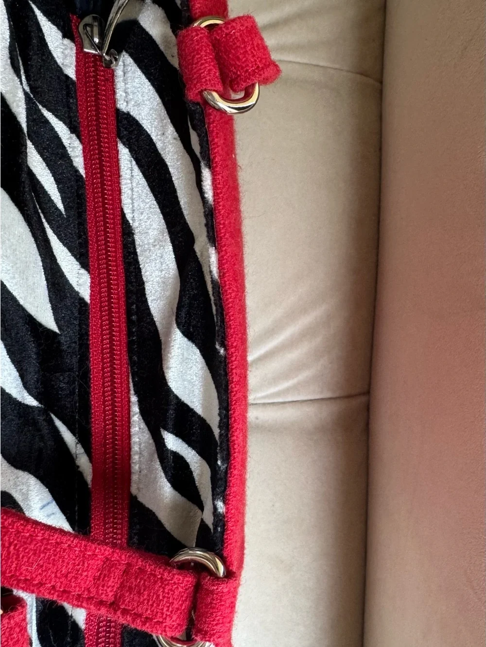 kate spade bold red